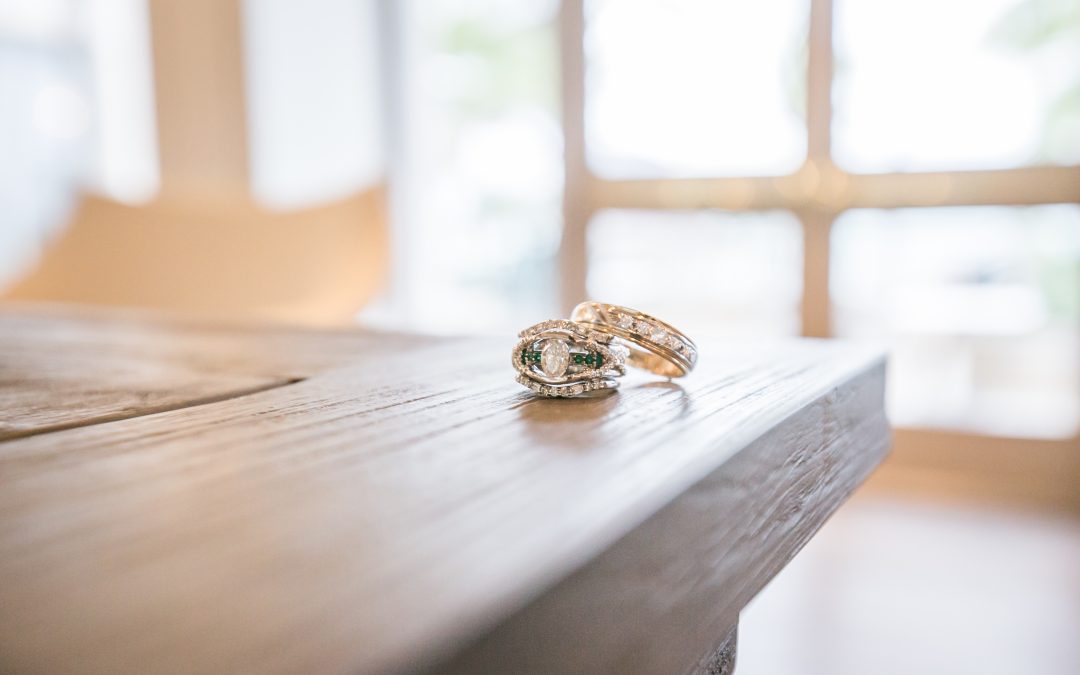 Engagement – Adam and Hilary Blau